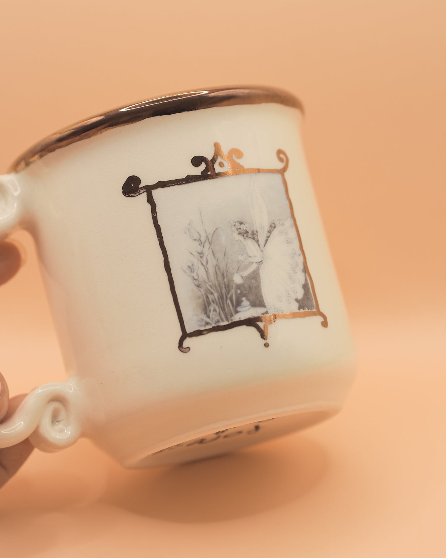 Fairy Frame Mug